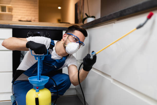 Best Flea Control Services  in Ligh, NE