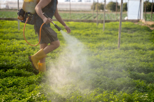 Reliable Neligh, NE Pest Control Solutions