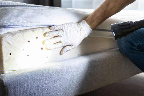 Best Pest Control Near Me  in Ligh, NE